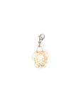Turtle Charm