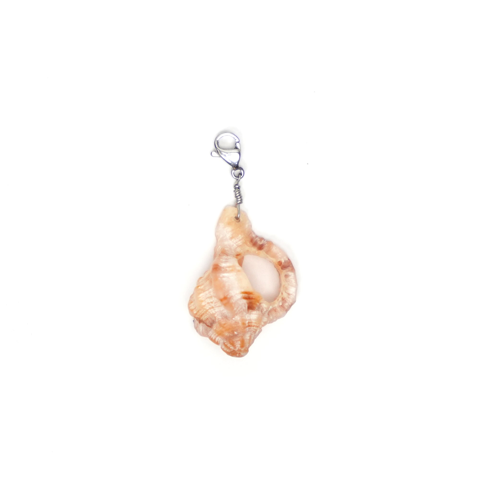 She Shell Charm